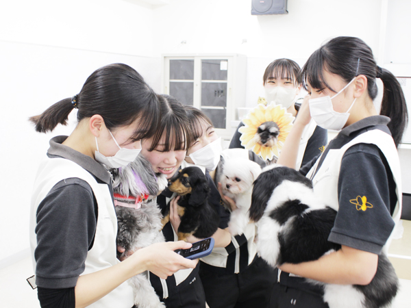 ２年生とモデル犬の写真撮影会♪～PART①～